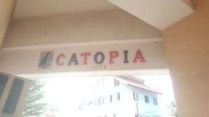 Catopia by Caroline Repchuk