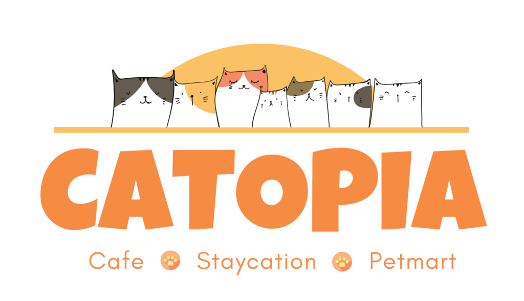 Catopia - Staycationfor cats